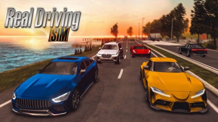 real driving sim mod apk