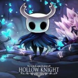 hollow knight