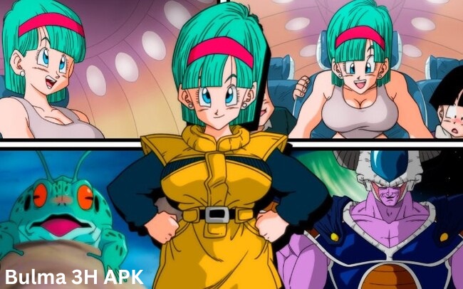 bulma 3h apk